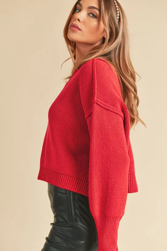 Aemi+Co Ribbed Hem Exposed Seam Round Neck Sweater