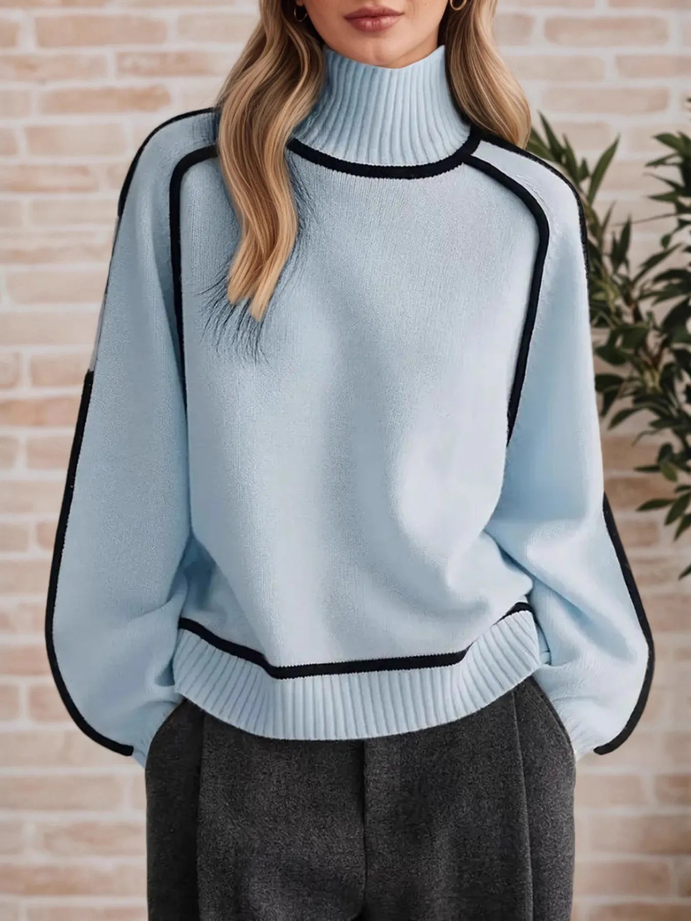 Contrast Trim Turtleneck Sweater
