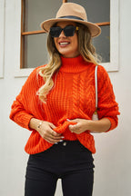 Angel Wings Cable-Knit Turtle Neck Long Sleeve Sweater