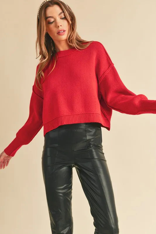Aemi+Co Ribbed Hem Exposed Seam Round Neck Sweater